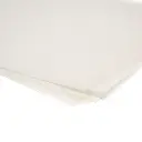 Paper Vegetal 2.webp